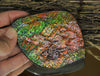 Polished Ammolite Display Stone #893