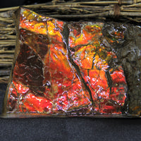 Polished Ammolite Display Stone #897