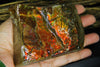 Polished Ammolite Display Stone #897