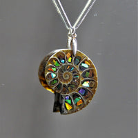 Sterling Silver Ammolite Triplet Pendant #902