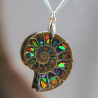 Canadian Ammolite stones inside natural ammonite fossil from Madagascar