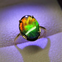 18k Ammolite Ring #903