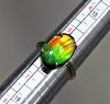 18k Ammolite Ring #903