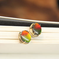 18K Ammolite Earrings #912