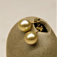 SOUTH SEA GOLD PEARL EARRINGS & PENDANT #1620