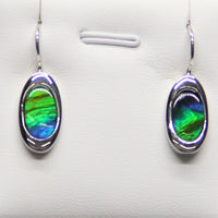 Ammolite Earrings #103