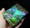 Ammolite Hand Sample Stone #605