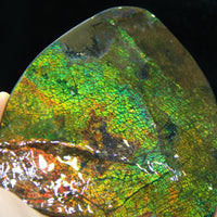 Ammolite Hand Sample Stone #608