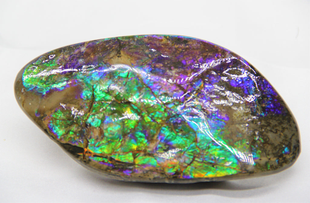 Ammolite Hand Sample Stone #616