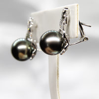 14k Tahitian Saltwater Pearl Earrings #1613