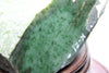 Canadian Nephrite Jade Rough 8.5kg #1916