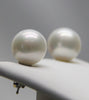 14K FRESHWATER PEARL EAR STUDS #1036