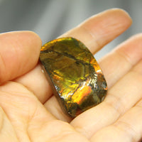 FREEFORM AMMOLITE LOOSE GEMSTONE - #A125