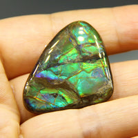 FREEFORM AMMOLITE LOOSE GEMSTONE - 34.5x26.4MM - 40.4CT #A126