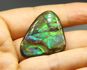 FREEFORM AMMOLITE LOOSE GEMSTONE - 34.5x26.4MM - 40.4CT #A126