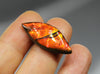 Freeform Ammolite Gemstone #A139