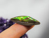 Freeform Ammolite Gemstone #A139