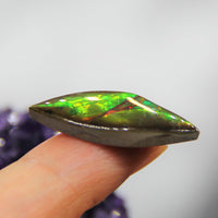 Freeform Ammolite Gemstone #A139