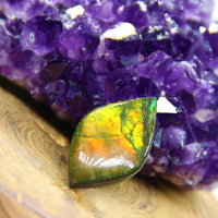 Freeform Ammolite Gemstone #A142