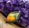 Freeform Ammolite Gemstone #A142