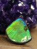 Freeform Ammolite Gemstone #A143