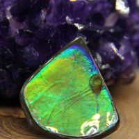 Freeform Ammolite Gemstone #A143