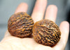 Palm Walnuts (Pair)