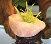 Rose Quartz Candle Holder #1964