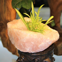 Rose Quartz Candle Holder #1964