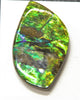 FREEFORM NATURE AMMOLITE LOOSE GEMSTONE #A103