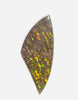 Ammolite Loose Gemstone  17ct #A121